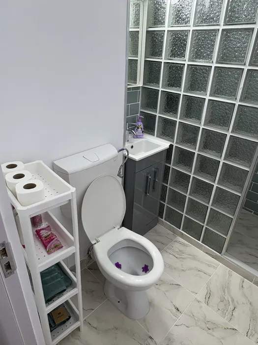 A bathroom with toilet and laundry.