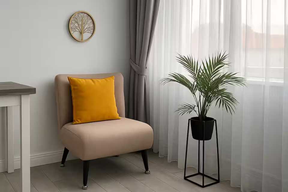A room with a chair and a plant with pot — studio in Oradea