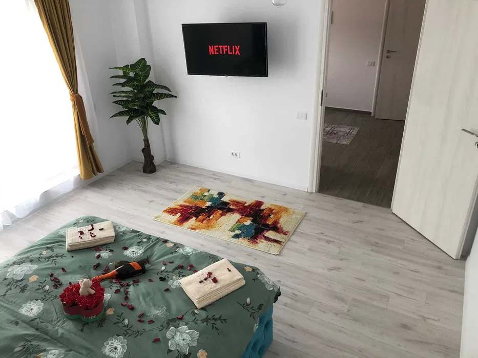A room with a bed, a flat-screen TV, and a potted plant — studio in Brașov