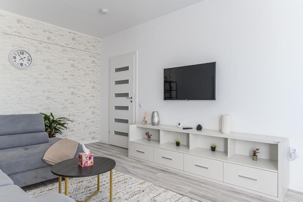 A living room with a flat-screen TV and a pot plant — apartment in Brașov