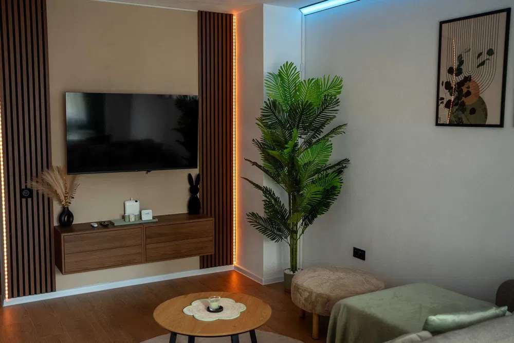 A living room with a flat-screen TV, a wooden table and a pot plant